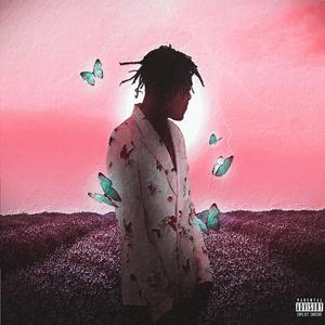 99在线视频精品
