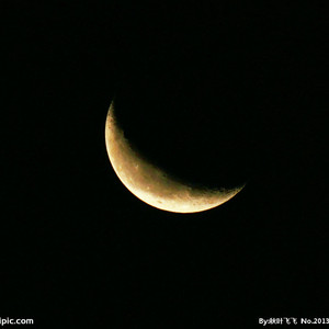 99在线视频精品
