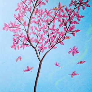 99在线视频精品
